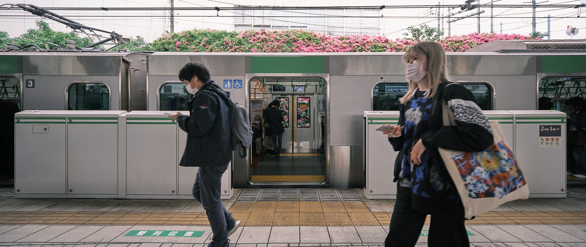 Tokyo - Springtime on the Yamanote Line